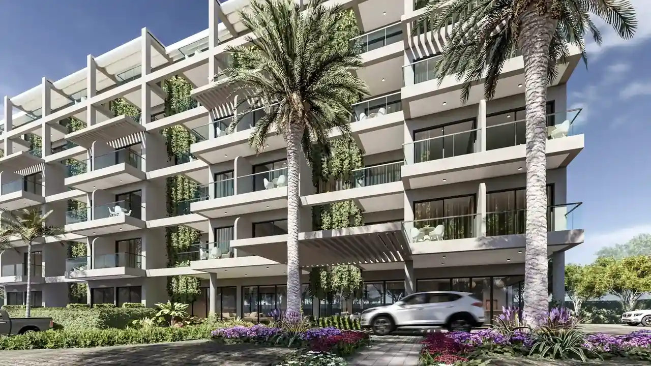 Render Salara